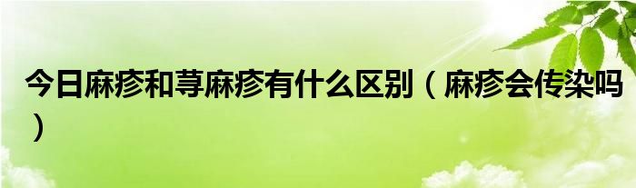 今日麻疹和荨麻疹有什么区别（麻疹会传染吗）