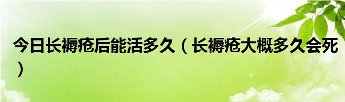 今日长褥疮后能活多久（长褥疮大概多久会死）