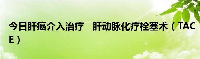 今日肝癌介入治疗――肝动脉化疗栓塞术（TACE）