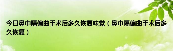 今日鼻中隔偏曲手术后多久恢复味觉（鼻中隔偏曲手术后多久恢复）