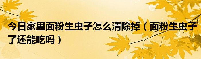 今日家里面粉生虫子怎么清除掉（面粉生虫子了还能吃吗）