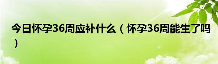 今日怀孕36周应补什么（怀孕36周能生了吗）