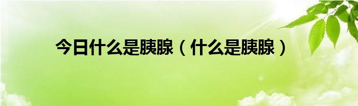 今日什么是胰腺（什么是胰腺）