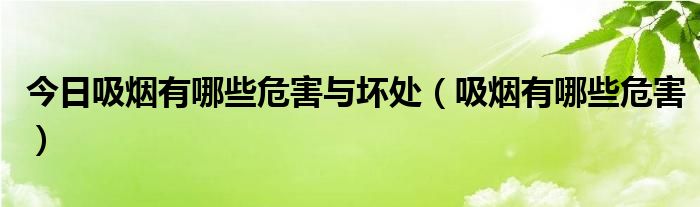 今日吸烟有哪些危害与坏处（吸烟有哪些危害）