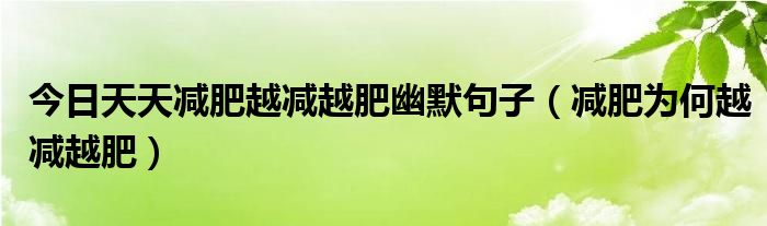 今日天天减肥越减越肥幽默句子（减肥为何越减越肥）