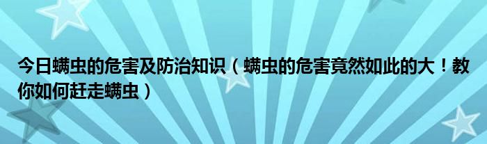 今日螨虫的危害及防治知识（螨虫的危害竟然如此的大！教你如何赶走螨虫）