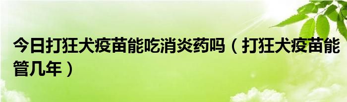 今日打狂犬疫苗能吃消炎药吗（打狂犬疫苗能管几年）