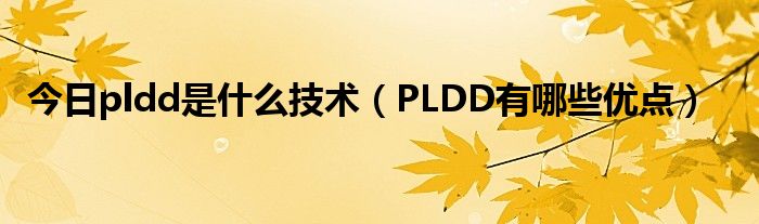 今日pldd是什么技术（PLDD有哪些优点）