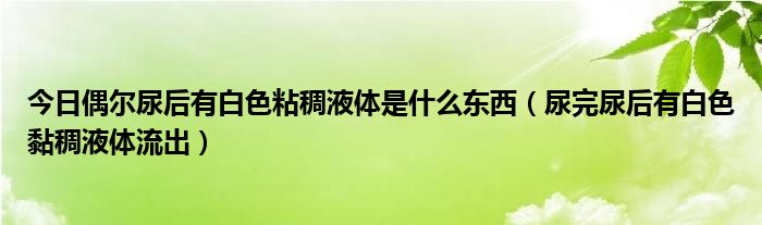 今日偶尔尿后有白色粘稠液体是什么东西（尿完尿后有白色黏稠液体流出）