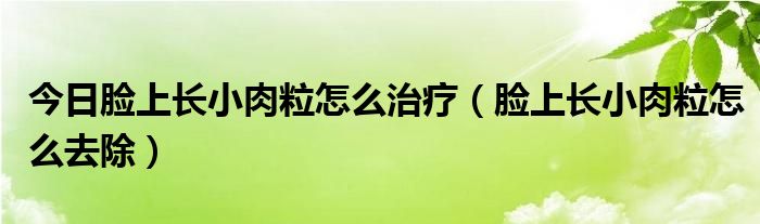 今日脸上长小肉粒怎么治疗（脸上长小肉粒怎么去除）