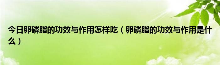 今日卵磷脂的功效与作用怎样吃（卵磷脂的功效与作用是什么）