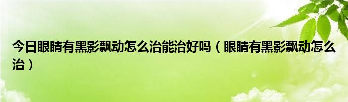 今日眼睛有黑影飘动怎么治能治好吗（眼睛有黑影飘动怎么治）