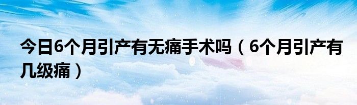 今日6个月引产有无痛手术吗（6个月引产有几级痛）