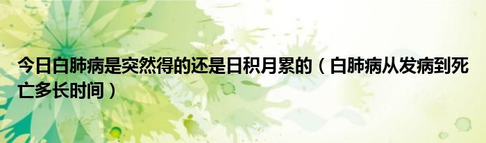 今日白肺病是突然得的还是日积月累的（白肺病从发病到死亡多长时间）