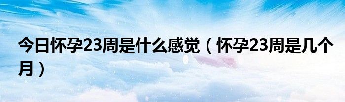 今日怀孕23周是什么感觉（怀孕23周是几个月）