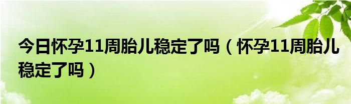 今日怀孕11周胎儿稳定了吗（怀孕11周胎儿稳定了吗）