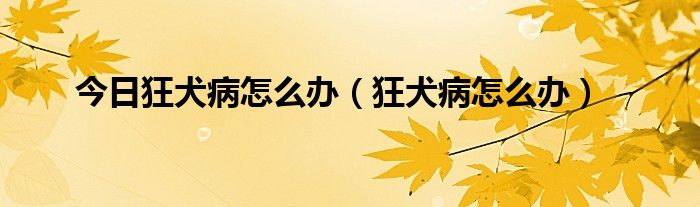 今日狂犬病怎么办（狂犬病怎么办）