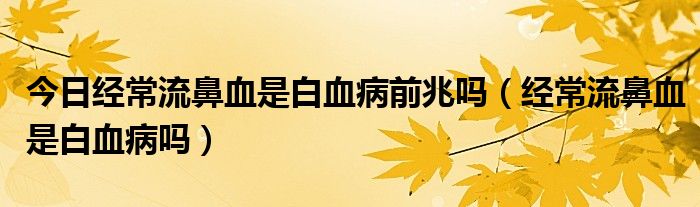 今日经常流鼻血是白血病前兆吗（经常流鼻血是白血病吗）