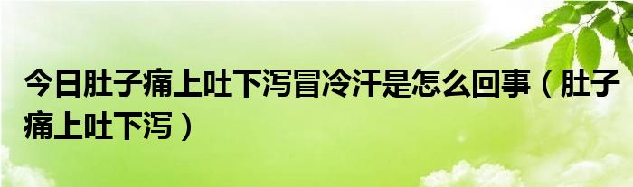 今日肚子痛上吐下泻冒冷汗是怎么回事（肚子痛上吐下泻）