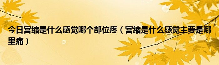 今日宫缩是什么感觉哪个部位疼（宫缩是什么感觉主要是哪里痛）