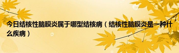 今日结核性脑膜炎属于哪型结核病（结核性脑膜炎是一种什么疾病）