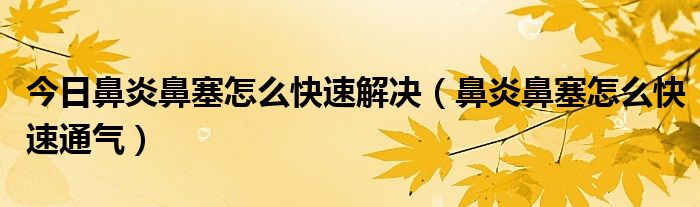 今日鼻炎鼻塞怎么快速解决（鼻炎鼻塞怎么快速通气）