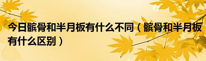 今日髌骨和半月板有什么不同（髌骨和半月板有什么区别）