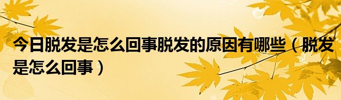 今日脱发是怎么回事脱发的原因有哪些（脱发是怎么回事）