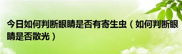 今日如何判断眼睛是否有寄生虫（如何判断眼睛是否散光）