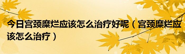 今日宫颈糜烂应该怎么治疗好呢（宫颈糜烂应该怎么治疗）