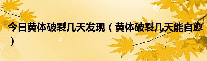 今日黄体破裂几天发现（黄体破裂几天能自愈）