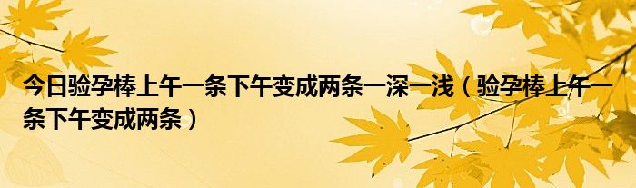 今日验孕棒上午一条下午变成两条一深一浅（验孕棒上午一条下午变成两条）