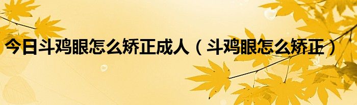 今日斗鸡眼怎么矫正成人（斗鸡眼怎么矫正）