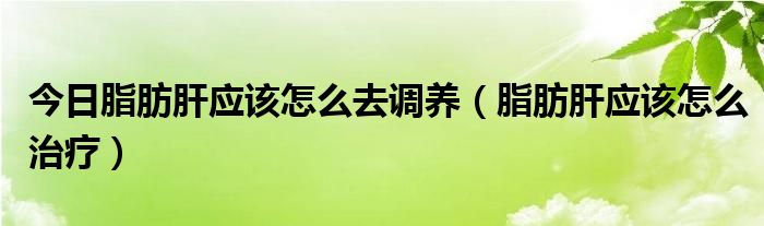 今日脂肪肝应该怎么去调养（脂肪肝应该怎么治疗）