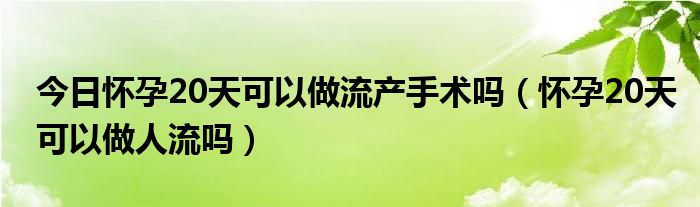 今日怀孕20天可以做流产手术吗（怀孕20天可以做人流吗）