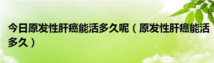 今日原发性肝癌能活多久呢（原发性肝癌能活多久）