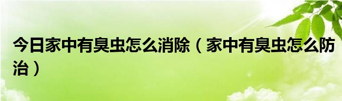 今日家中有臭虫怎么消除（家中有臭虫怎么防治）