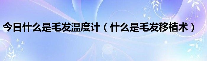 今日什么是毛发温度计（什么是毛发移植术）