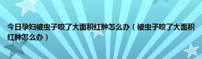 今日孕妇被虫子咬了大面积红肿怎么办（被虫子咬了大面积红肿怎么办）