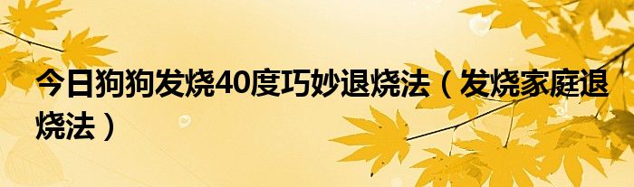 今日狗狗发烧40度巧妙退烧法（发烧家庭退烧法）