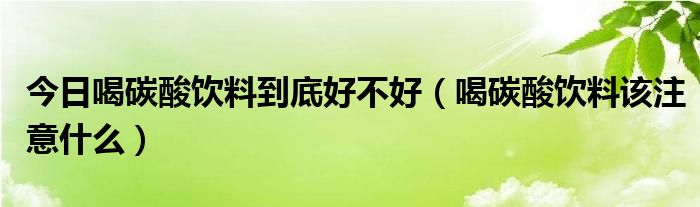 今日喝碳酸饮料到底好不好（喝碳酸饮料该注意什么）