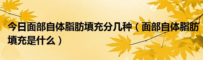 今日面部自体脂肪填充分几种（面部自体脂肪填充是什么）