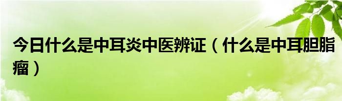 今日什么是中耳炎中医辨证（什么是中耳胆脂瘤）