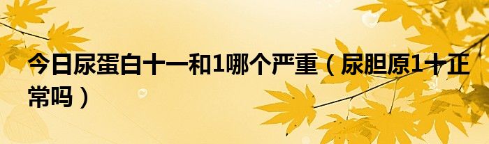 今日尿蛋白十一和1哪个严重（尿胆原1十正常吗）