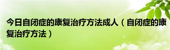 今日自闭症的康复治疗方法成人（自闭症的康复治疗方法）