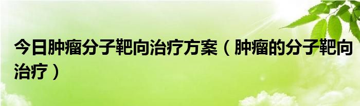 今日肿瘤分子靶向治疗方案（肿瘤的分子靶向治疗）