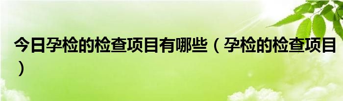 今日孕检的检查项目有哪些（孕检的检查项目）