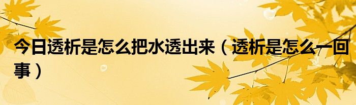 今日透析是怎么把水透出来（透析是怎么一回事）