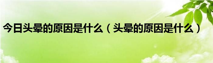 今日头晕的原因是什么（头晕的原因是什么）