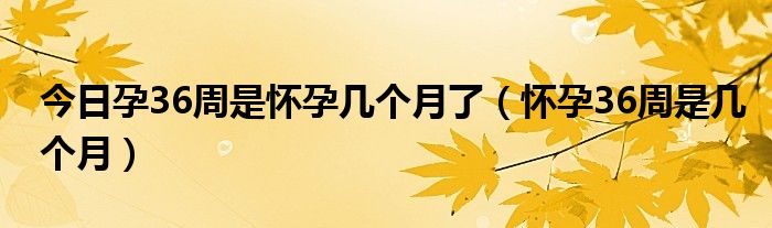 今日孕36周是怀孕几个月了（怀孕36周是几个月）